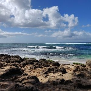 Meet your Posher, Marlyse